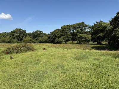 The Land